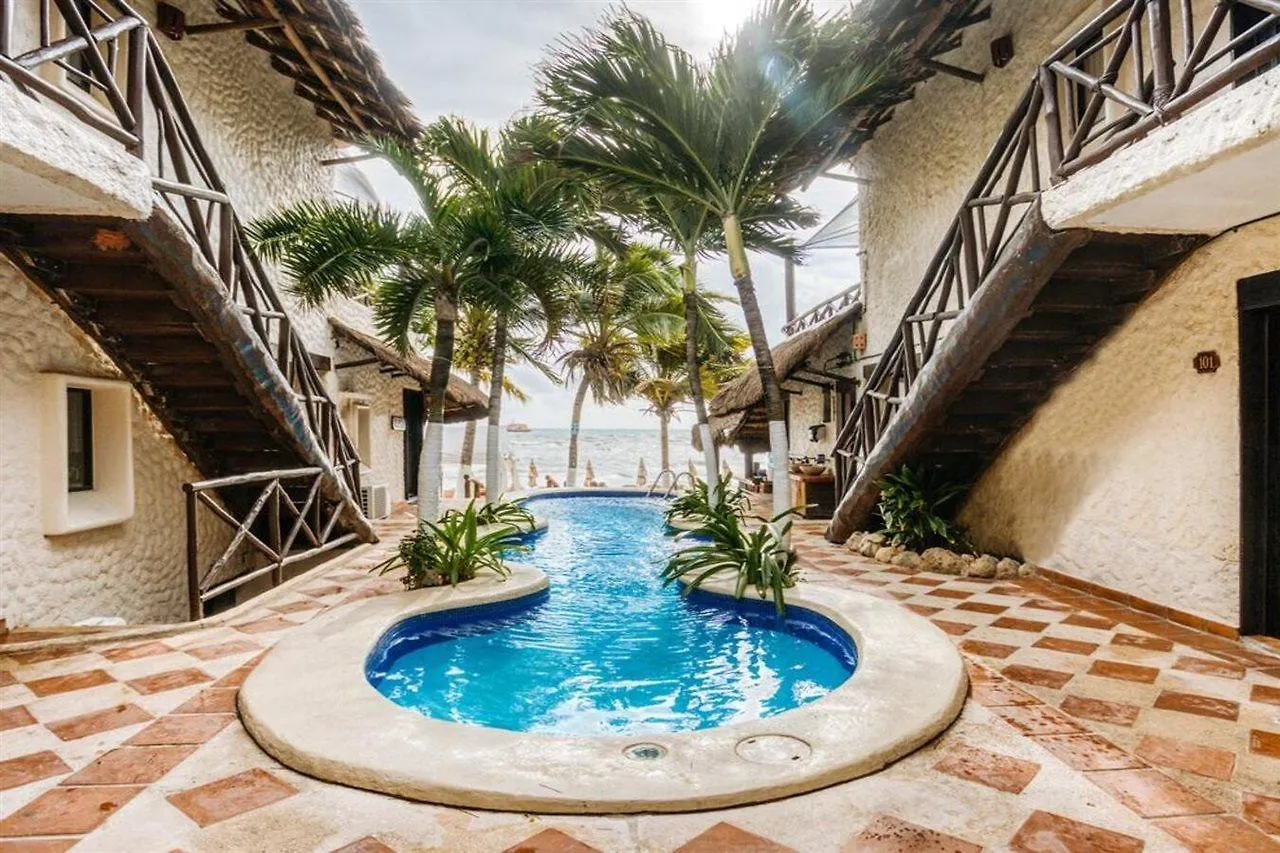 *****  Hotel Capital O Mimi Del Mar, Playa Del Carmen Meksyk