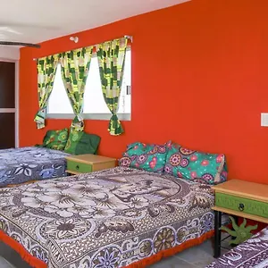 https://hotel-puerto-viejo.mazatlan-hotels.com