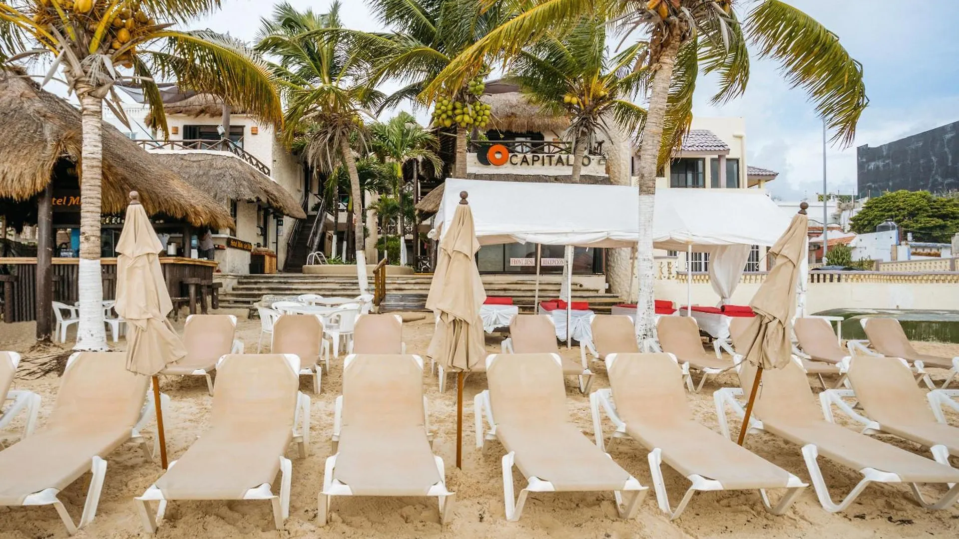 Capital O Mimi Del Mar, Playa Del Carmen Otel